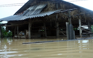 CẢNH BÁO: Đêm 15/10, Nghệ An và Hà Tĩnh vẫn có mưa rất to