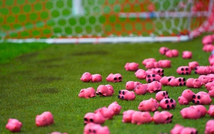 CĐV Anh ném... 3.000 con lợn đồ chơi xuống sân để phản đối ông chủ CLB