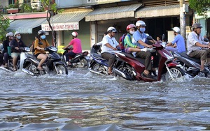 Họa vô đơn chí: Triều cường đỉnh điểm, kết hợp mưa lớn vào đúng giờ cao điểm
