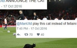 Mèo đen chạy vào sân Liverpool - Man United, CĐV lôi Gerrard ra chế giễu