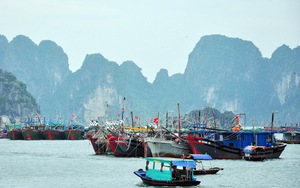 Lo bão số 7 đổ bộ đúng lúc thủy triều ở đỉnh