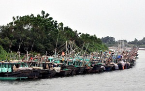 Quảng Ninh an toàn trong cơn bão số 7