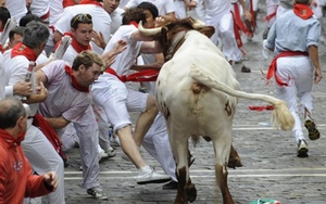 Tòa án Hiến pháp Tây Ban Nha hủy bỏ lệnh cấm đấu bò tót