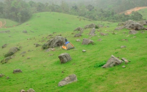 Thăm Đồng Cao, Sơn Động - Thảo nguyên giữa núi đồi Bắc Giang