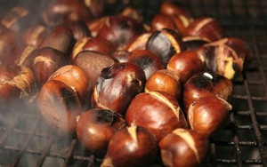 Hạt dẻ nóng: Món ngon cho ngày Đông Hà Nội