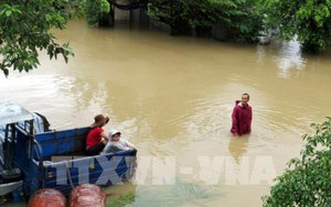 Được cứu sống sau 11 giờ đu bám trên cây tránh lũ