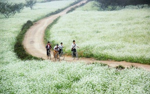 Du lịch Mộc Châu & 1001 lưu ý cần biết