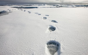 Tiếng động ghê rợn ở Bắc Cực khiến Canada sợ hãi, điều động máy bay