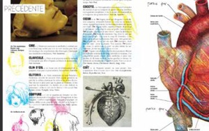 Cuốn từ điển cơ thể người bị cho là... 'nhạy cảm', gây sốc cho học sinh!