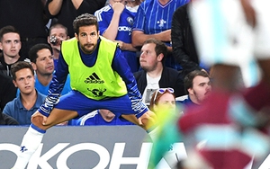 Chelsea: Biết đi đâu về đâu bây giờ, Cesc Fabregas?