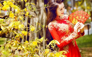 Thủ tướng chốt phương án nghỉ Tết Nguyên đán Đinh Dậu 2017