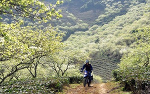 Mộc Châu & lịch trình chi tiết cho chuyến đi thú vị