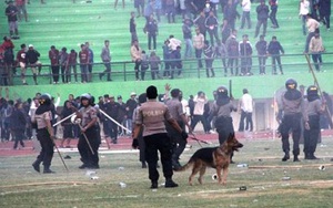 Choáng vì độ nhiệt của CĐV Indonesia