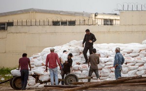 Giết 5 chuyên gia Taliban chuyên chế tạo bom từ... phân bón