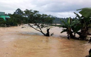 Đập Kala xả lũ, dân trở tay không kịp, cà phê bị cuốn trôi