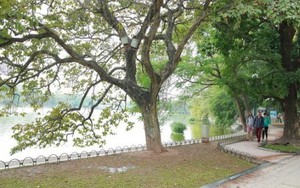 Bắc Bộ hanh khô trong 10 ngày tới, lũ chồng lũ ở Trung Bộ