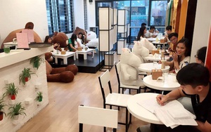 Quán cafe siêu hot, lần đầu tiên xuất hiện ở Việt Nam có gì lạ?