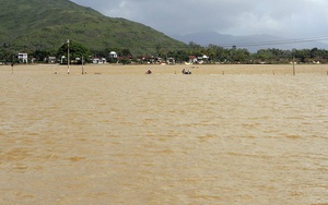 Quảng Ngãi: Hàng nghìn nhà dân bị ngập trong nước lũ