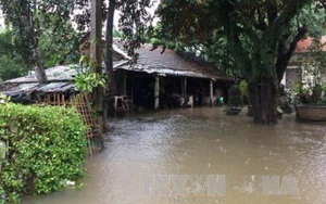 Huế: Thiệt hại 174 tỷ đồng, 2.500 nhà dân vẫn còn bị ngập
