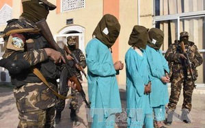Afghanistan: Taliban tấn công nhà một nghị sĩ quốc hội