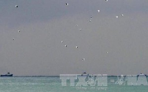 Máy bay Nga rơi xuống biển có thể đã 'va chạm với đối tượng bên ngoài'?