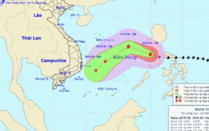 Bão Nock-Ten đi vào Biển Đông, gần tâm bão gió giật cấp 14-15