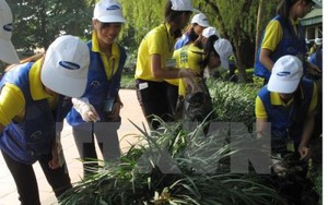 Hà Nội đảm bảo vệ sinh môi trường dịp Tết Dương lịch và Tết Nguyên đán 2017