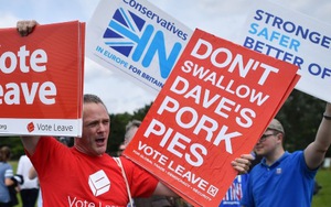 Vấn đề Brexit: Cử tri EU bi quan nhưng không muốn đi theo Anh