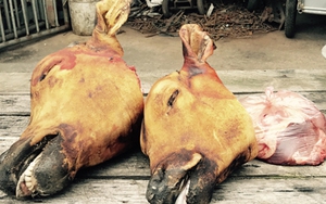 Chùm ảnh: Rùng mình với cảnh thịt bò, bê ngập chợ Viềng
