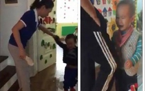 Yêu cầu cơ sở mầm non Sen Vàng tạm dừng hoạt động