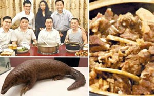 Thiếu gia Hong Kong nhận 'gạch đá' vì khoe ảnh ăn tê tê