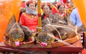 Độc đáo Lễ rước cá khai hội đền Trần - Thái Bình 2017