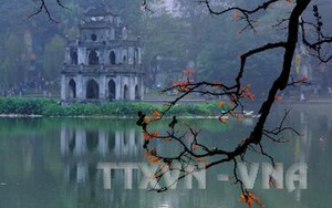 Hồ Gươm có loài tảo lục rất quý, cần giữ gìn khi cải tạo