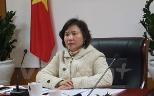 Thủ tướng chỉ đạo làm rõ thông tin về tài sản của bà Hồ Thị Kim Thoa