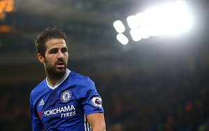 Fabregas là lời giải cho mọi khó khăn của Conte