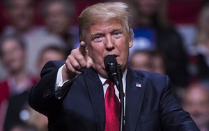 Tổng thống Trump cắt giảm chi tiêu cho nghệ thuật, nhiều nghệ sĩ bức xúc