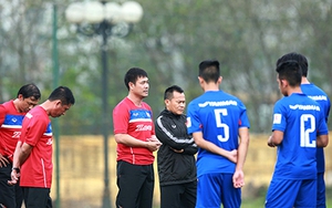 Các đội tuyển Việt Nam 'vào mùa'