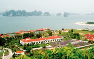 Tập đoàn FLC được phép nghiên cứu đầu tư tại đảo Ngọc Vừng