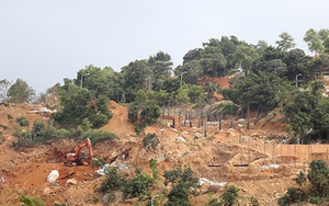 Phản hồi kiến nghị của Hiệp hội Du lịch Đà Nẵng gửi Thủ tướng về bán đảo Sơn Trà