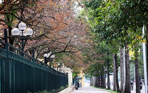 Hà Nội đẹp nao lòng khoảnh khắc cuối Xuân