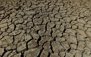 Mỹ cân nhắc khả năng tiếp tục tham gia Hiệp định Paris về biến đổi khí hậu