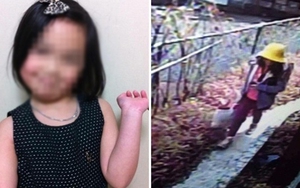 Hé lộ về hung thủ sát hại bé gái người Việt ở Nhật Bản