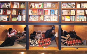 Giới trẻ Hàn Quốc 'phát sốt' về các 'tổ ong' cà phê - truyện tranh