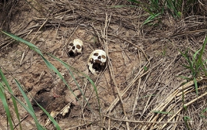 KINH HOÀNG: Phát hiện 30 trẻ em và 44 người lớn trong 17 hố chôn tập thể