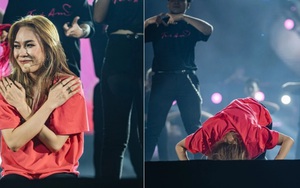 Khi các sao quỳ gối tri ân fan 