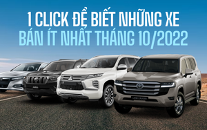 10 mẫu xe bán chậm nhất tháng 10: Xe Nhật chiếm áp đảo