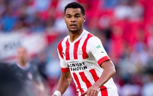 Bóng đá hôm nay 13/11: Gakpo từ chối MU lần 2