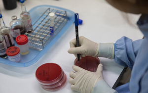 Tế bào máu nuôi cấy trong phòng thí nghiệm lần đầu tiên được truyền vào cơ thể người