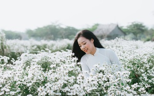 Người Hà Nội đổ xô đi chụp ảnh cúc họa mi; Cận cảnh nhan sắc đại diện Việt Nam dự Mister Grand International