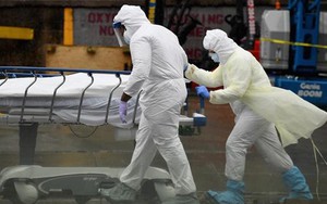 Các bệnh nhiễm khuẩn là nguyên nhân gây tử vong cao thứ hai trên thế giới